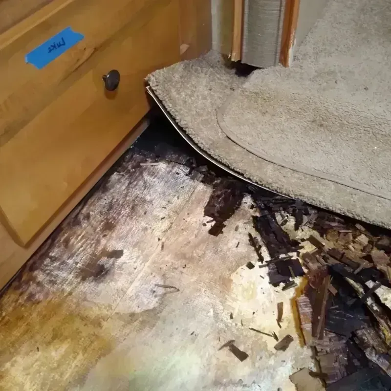 Wood Floor Water Damage in Tallmadge, OH